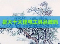 是大十大锂电工具品牌吗