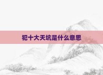 犯十大天坑是什么意思