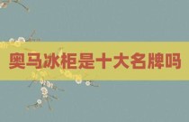 奥马冰柜是十大名牌吗