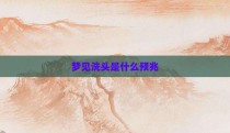 梦见洗头是什么预兆