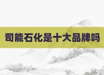 司能石化是十大品牌吗