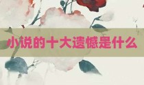 小说的十大遗憾是什么
