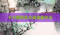 十大原则五大战法是什么