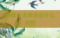 佛教十大神鸟是什么动物