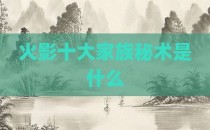 火影十大家族秘术是什么