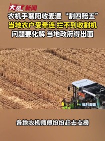 襄阳收麦“割四赔五”风波：别让个别纠纷拖累农机手与农户