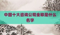 中国十大咨询公司全称是什么名字