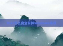 mac怎么完全抹掉windows系统