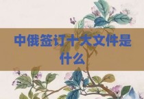中俄签订十大文件是什么