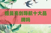 纽曼亮剑导航十大品牌吗
