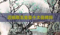 迈拓斯五金是十大品牌吗