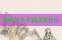 未来的十大机遇是什么