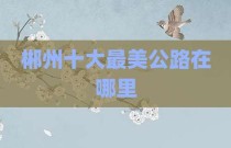 郴州十大最美公路在哪里