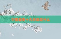 中国最贵十大天珠是什么