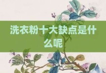 洗衣粉十大缺点是什么呢