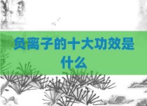 负离子的十大功效是什么