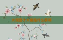 大观园十大碗是什么菜啊