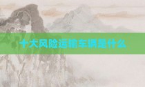 十大风险运输车辆是什么