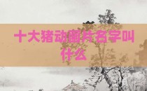 十大猪动画片名字叫什么