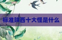 标准陕西十大怪是什么