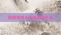 税收领域十大挑战是什么
