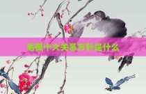 毛概十大关系方针是什么