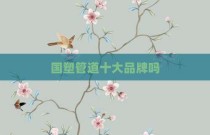 国塑管道十大品牌吗
