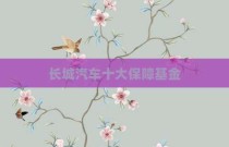 长城汽车十大保障基金