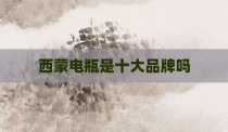 西蒙电瓶是十大品牌吗