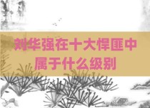 刘华强在十大悍匪中属于什么级别