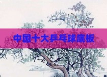 中国十大乒乓球底板
