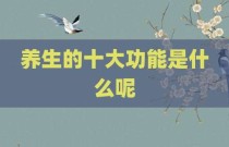养生的十大功能是什么呢