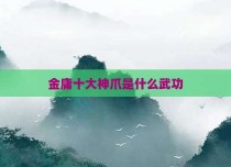 金庸十大神爪是什么武功