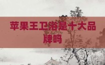 苹果王卫浴是十大品牌吗