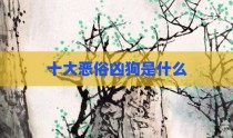 十大恶俗凶狗是什么