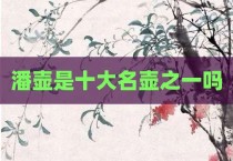 潘壶是十大名壶之一吗