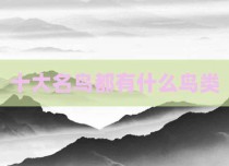 十大名鸟都有什么鸟类