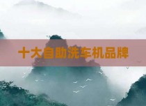 十大自助洗车机品牌