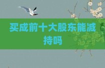 买成前十大股东能减持吗
