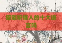 猫能听懂人的十大语言吗