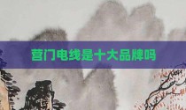 营门电线是十大品牌吗