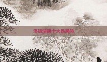 洪运油烟十大品牌吗