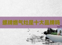 螺牌燃气灶是十大品牌吗