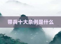 带兵十大条例是什么