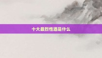 十大最烈性酒是什么