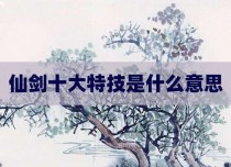 仙剑十大特技是什么意思