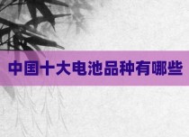 中国十大电池品种有哪些
