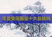 华盈变压器是十大品牌吗