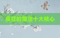 疯狂的简洁十大核心