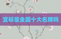 宜标是全国十大名牌吗